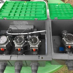 Wycinka drzew Wrocław 3