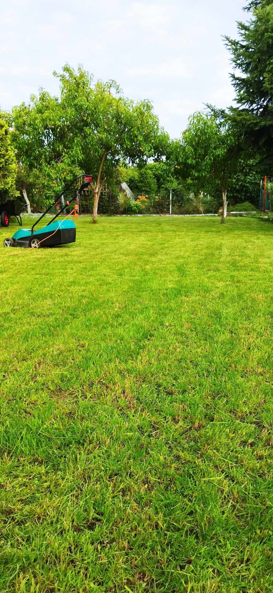 Elektryczna kosiarka do trawy na zielonym, równo przystrzyżonym trawniku w ogrodzie z drzewami owocowymi w tle.