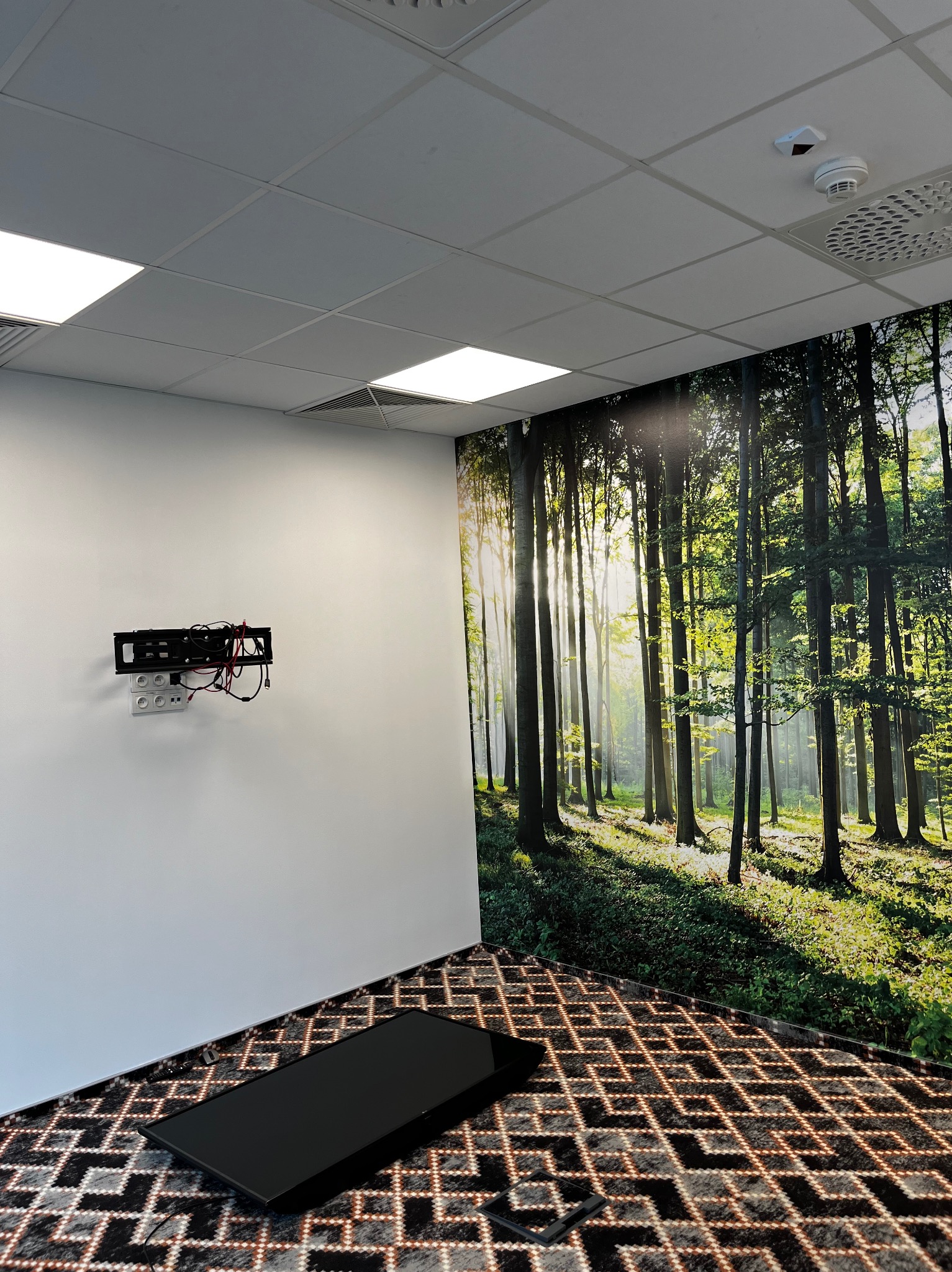 Pokój biurowy z fototapetą leśną, pustą ścianą z uchwytem na telewizor i leżącym na podłodze ekranem.