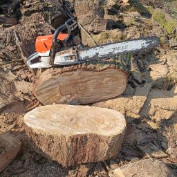 Pielęgnacja użytków zielonych - Pomarańczowo-biała piła łańcuchowa Stihl leży na dwóch świeżo ściętych pniach drzew, otoczona trocinami i kawałkami drewna w słonecznym plenerze.