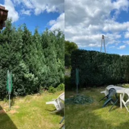 Porównanie dwóch kadrów: po lewej stronie wysokie, nieprzycięte tuje, po prawej stronie równo przycięty żywopłot z tui, obok stół ogrodowy z krzesłami i ścięte gałęzie.