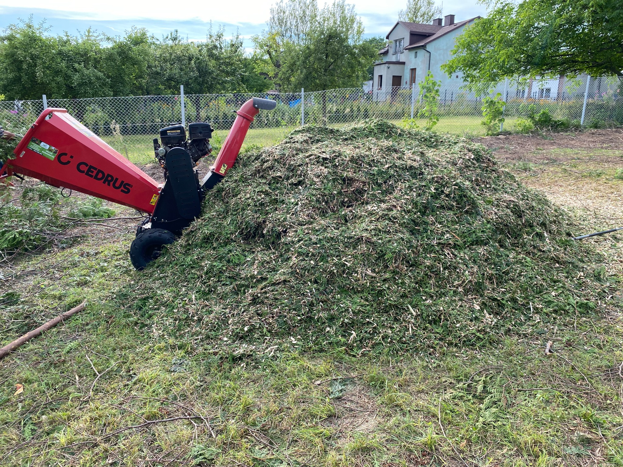 Stojąca na trawie rozdrabniarka do gałęzi marki Cedrus, obok sterta świeżo zmielonych gałęzi i liści, w tle ogrodzenie z siatki i budynek mieszkalny.