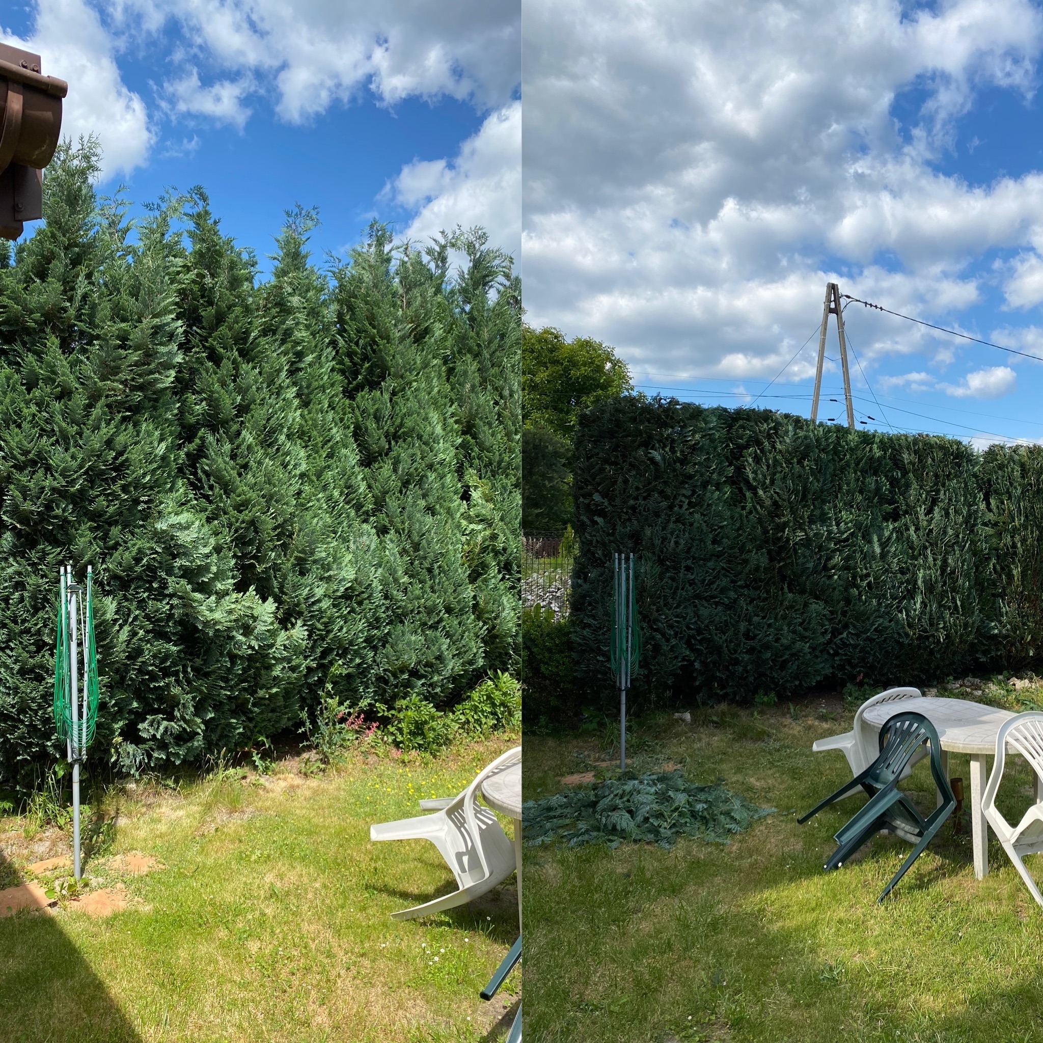 Porównanie dwóch kadrów: po lewej stronie wysokie, nieprzycięte tuje, po prawej stronie równo przycięty żywopłot z tui, obok stół ogrodowy z krzesłami i ścięte gałęzie.