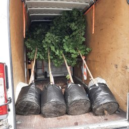 Przeprowadzki Kraków 3