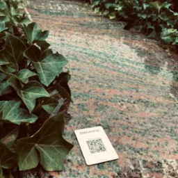 Granitowa płyta z bliska, porośnięta bluszczem, z wizytówką z kodem QR leżącą na powierzchni.