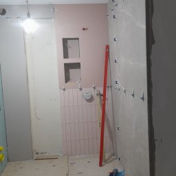 Glazurnik Tarnowo Podgórne 3