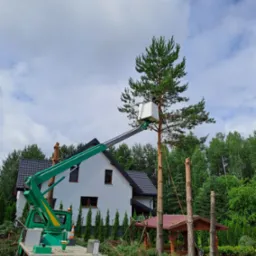Pracownik w podnośniku koszowym przycina wysoką sosnę, w tle biały dom z ciemnym dachem i fragment altany, po ziemi porozrzucane gałęzie.