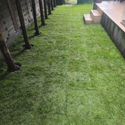 Estetik - Świeżo ułożona, soczysta trawa z rolki w ogrodzie, widok z góry, z rzędem drzew wzdłuż drewnianego ogrodzenia i kamiennymi schodkami prowadzącymi na taras.