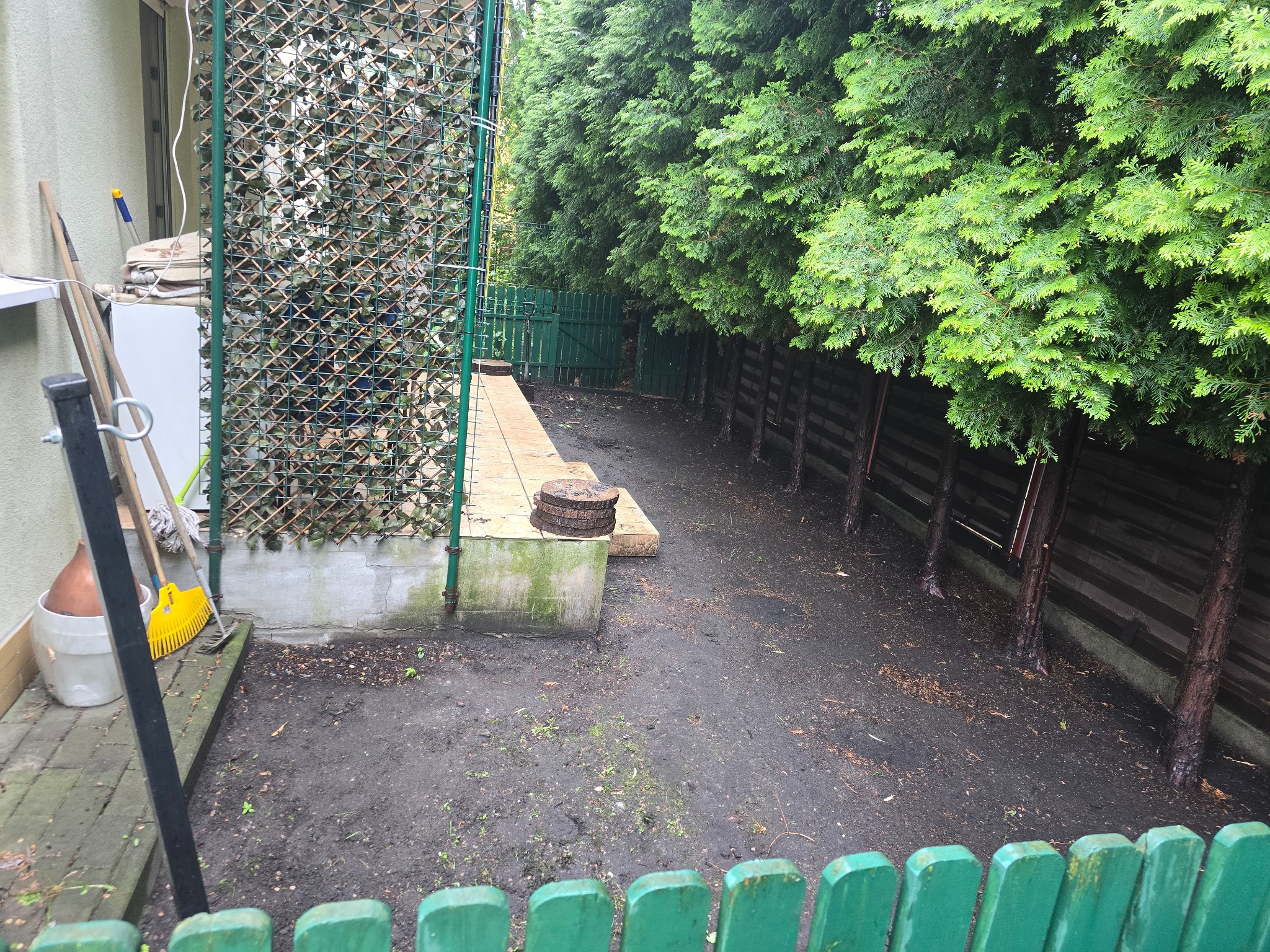 Przygotowanie terenu pod przyszły ogród: wyrównana ziemia, widoczne drzewa iglaste wzdłuż ogrodzenia, fragment tarasu z drewnianymi krążkami i narzędzia ogrodnicze przy ścianie budynku.