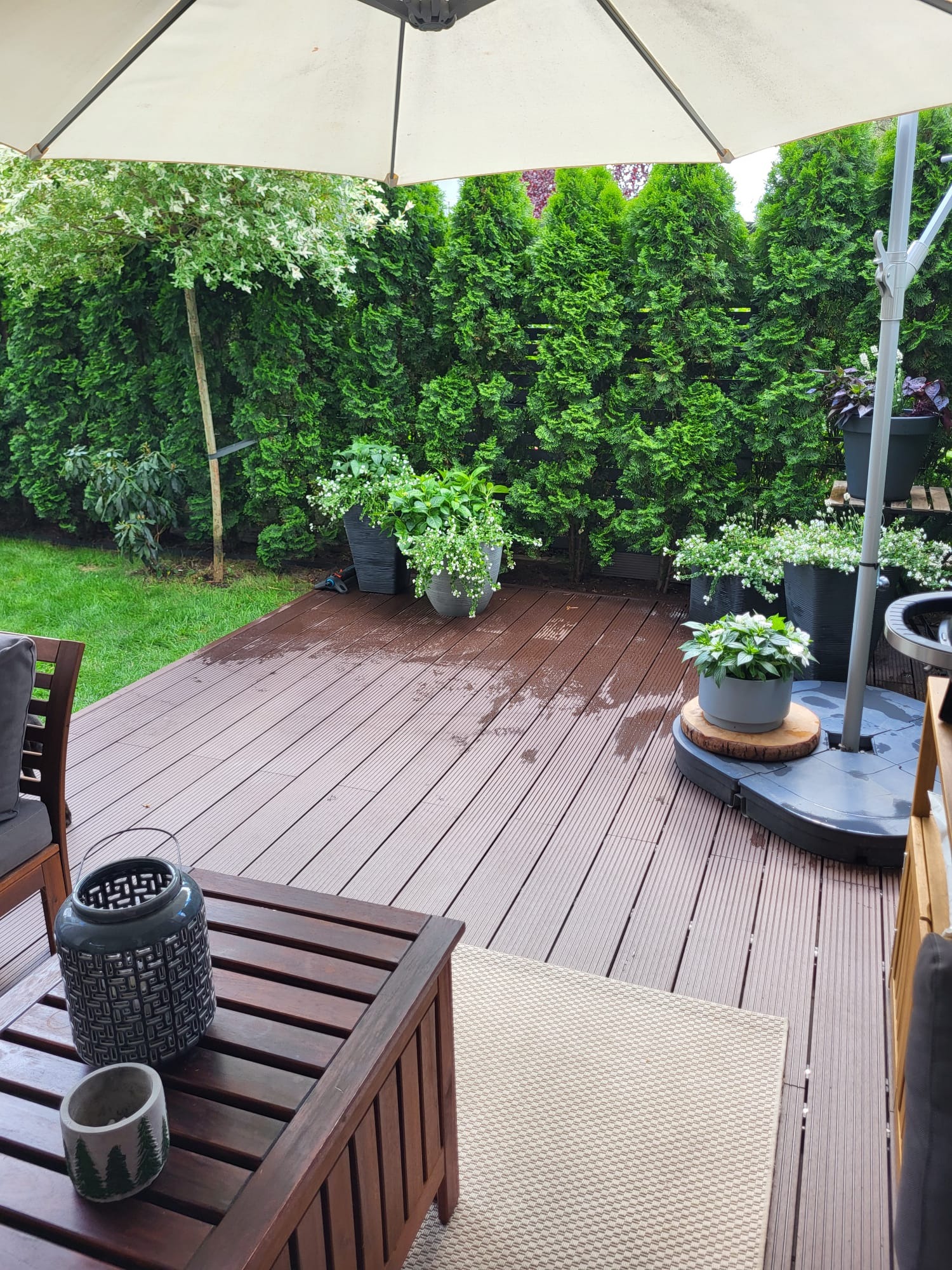 Wilgotny taras z desek kompozytowych po deszczu, otoczony tujami i roślinami w donicach, z widocznym stolikiem kawowym i parasolem ogrodowym.