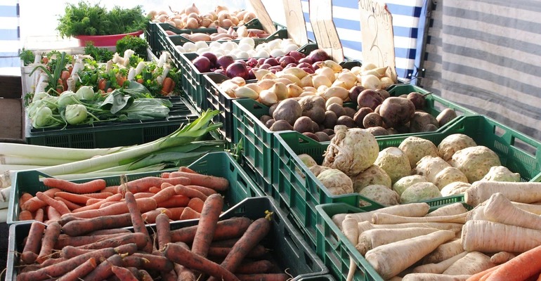 Różnorodne warzywa korzeniowe i cebulowe w zielonych skrzynkach na straganie: marchew, pietruszka, seler, pory, rzodkiewki, cebula biała i czerwona, buraki.