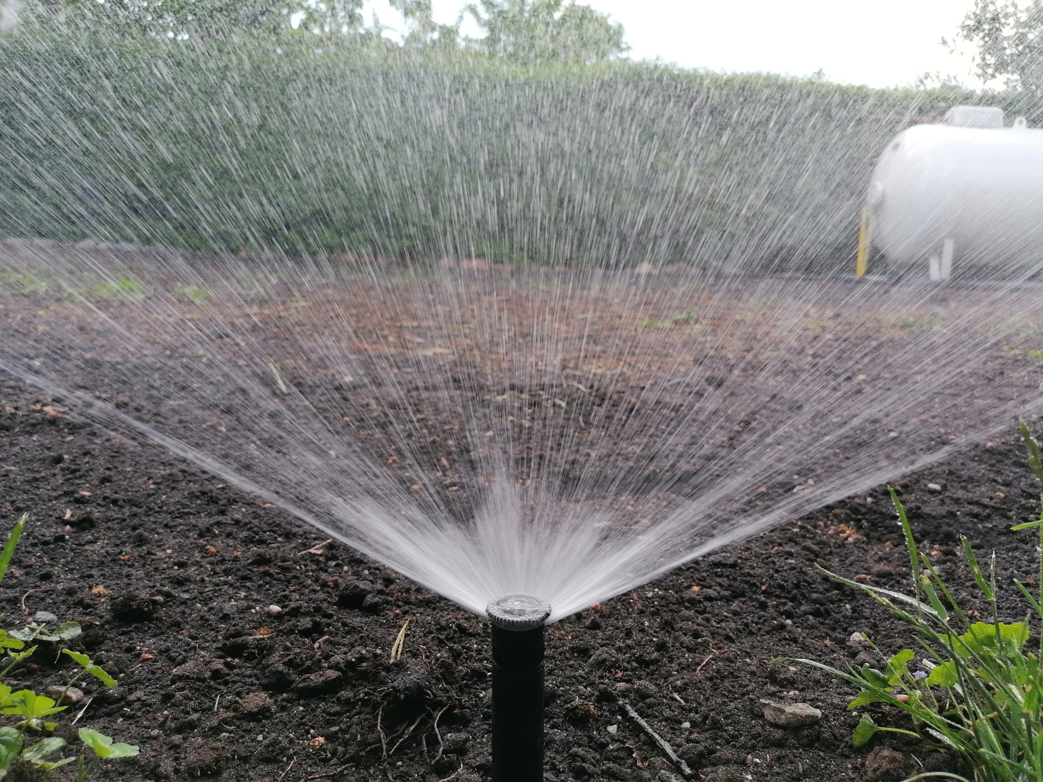 Automatyczny zraszacz rozpylający wodę na świeżo przygotowaną glebę, w tle zielony żywopłot i biały zbiornik na gaz.