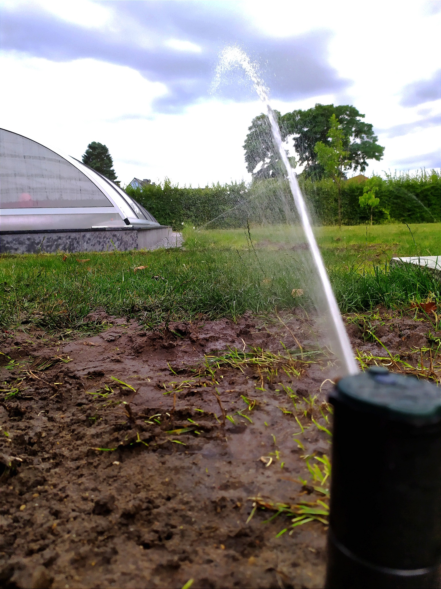 Zraszacz rotacyjny nawadnia trawnik, w tle budynek z przeszkloną kopułą i zielony żywopłot, ziemia wokół mokra i błotnista.
