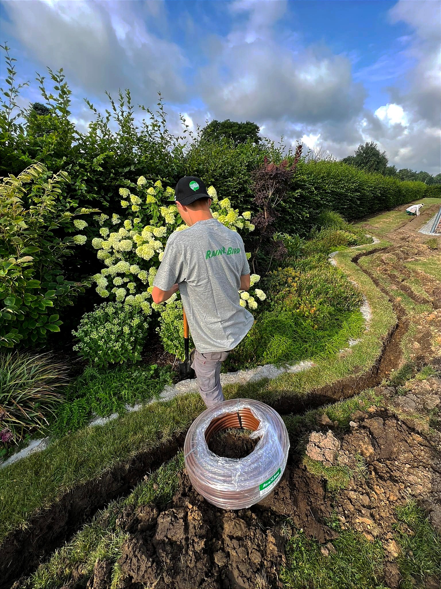Pracownik w szarej koszulce z logo Rain Bird kopie rów w trawniku obok kwitnących hortensji, przygotowując teren pod instalację systemu nawadniania; zwój brązowego węża w folii leży obok wykopu.