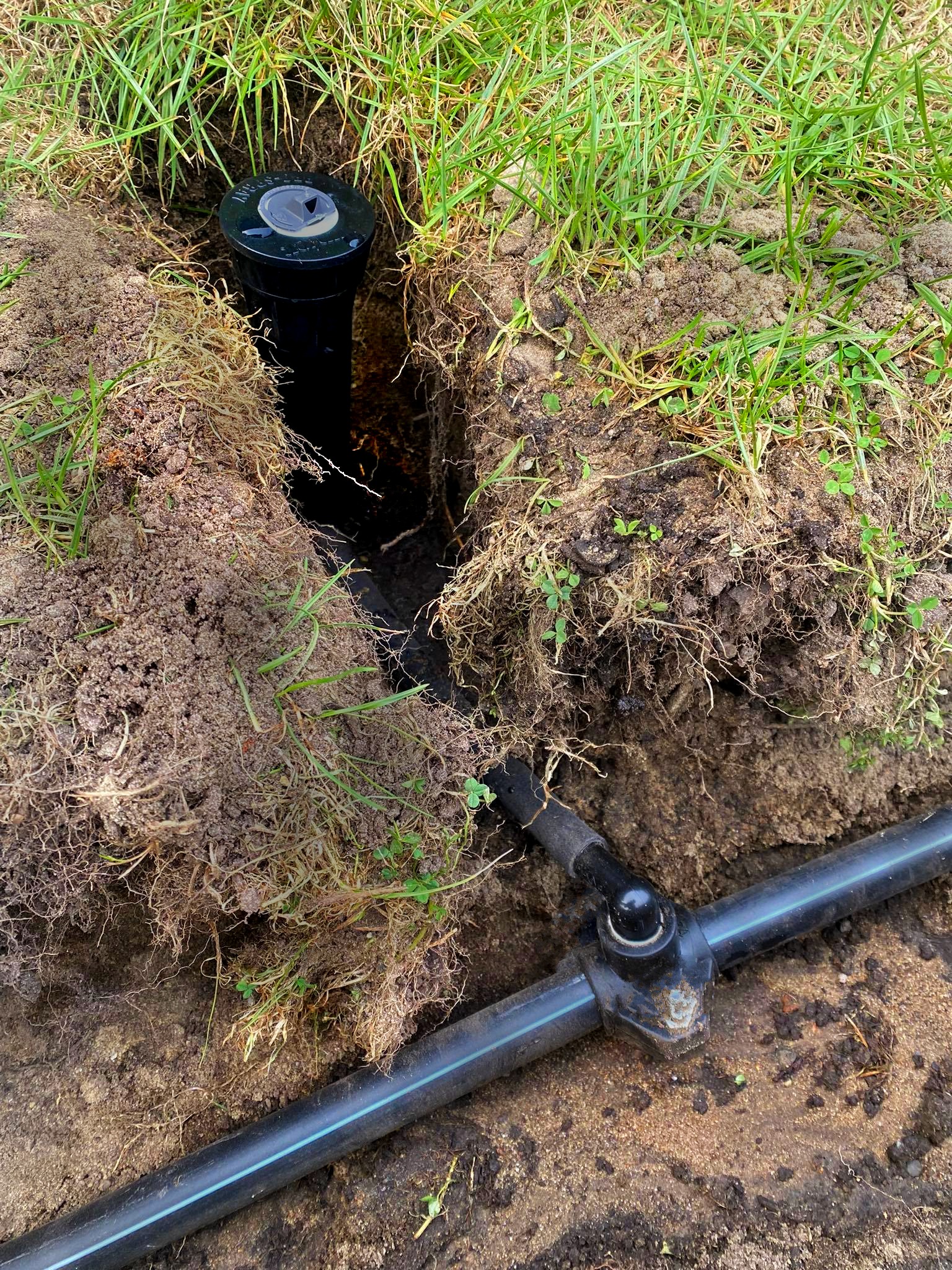 Instalacja systemu nawadniania trawnika z widocznym czarnym zraszaczem wynurzalnym i rurami doprowadzającymi wodę w wykopie ziemnym.