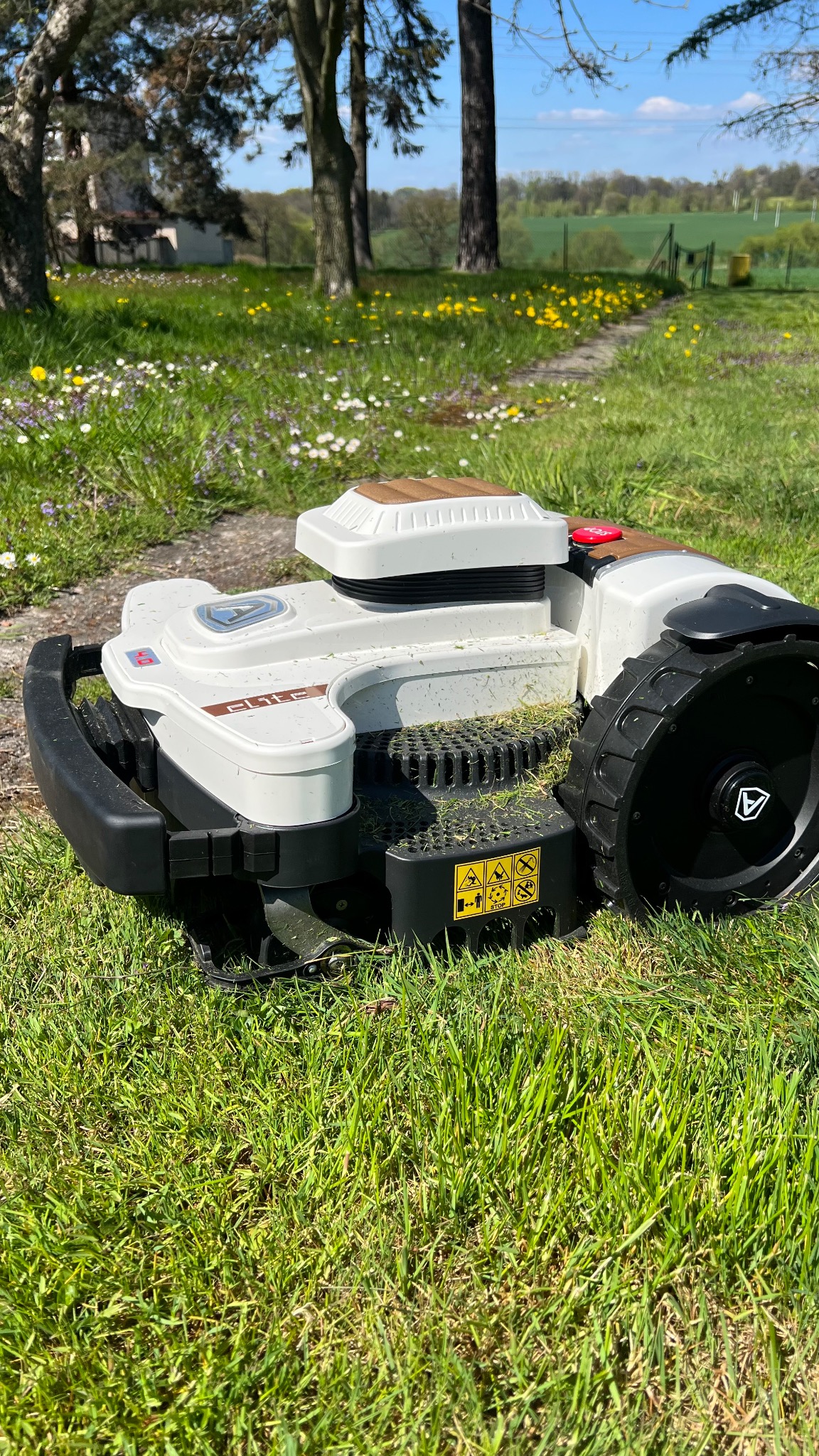 Automatyczny robot koszący, model Elite, na trawniku z widocznymi źdźbłami świeżo skoszonej trawy, w tle drzewa i łąka z żółtymi kwiatami.