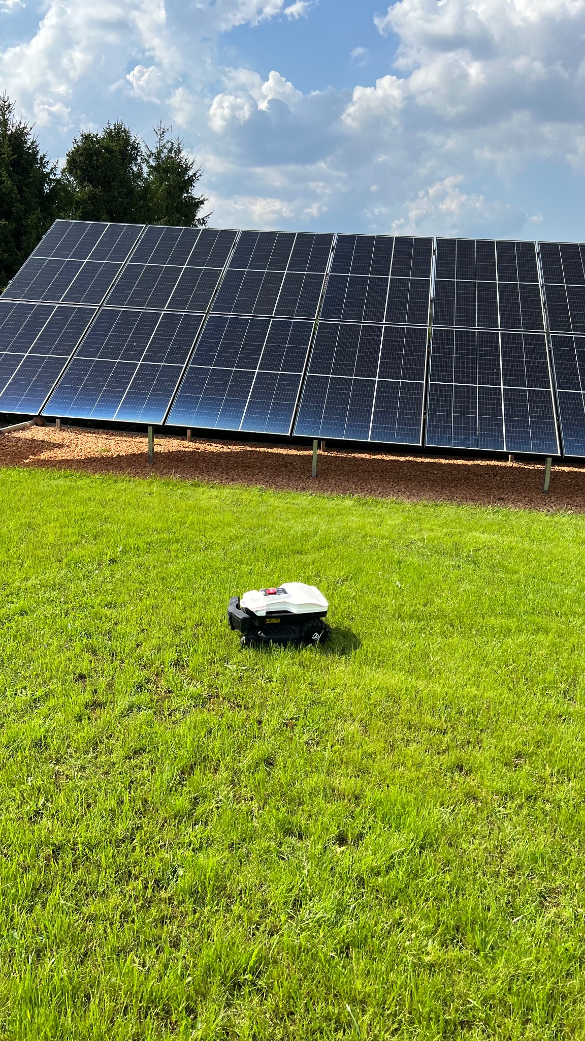 Automatyczna kosiarka na trawniku przed panelami słonecznymi w słoneczny dzień.