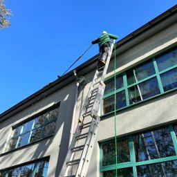 Wycinka drzew Chrzanów 4