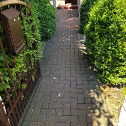 4Invest - Brukowana ścieżka prowadząca do domu, otoczona zadbanymi krzewami i żelazną bramką z brązową skrzynką na listy po lewej stronie.