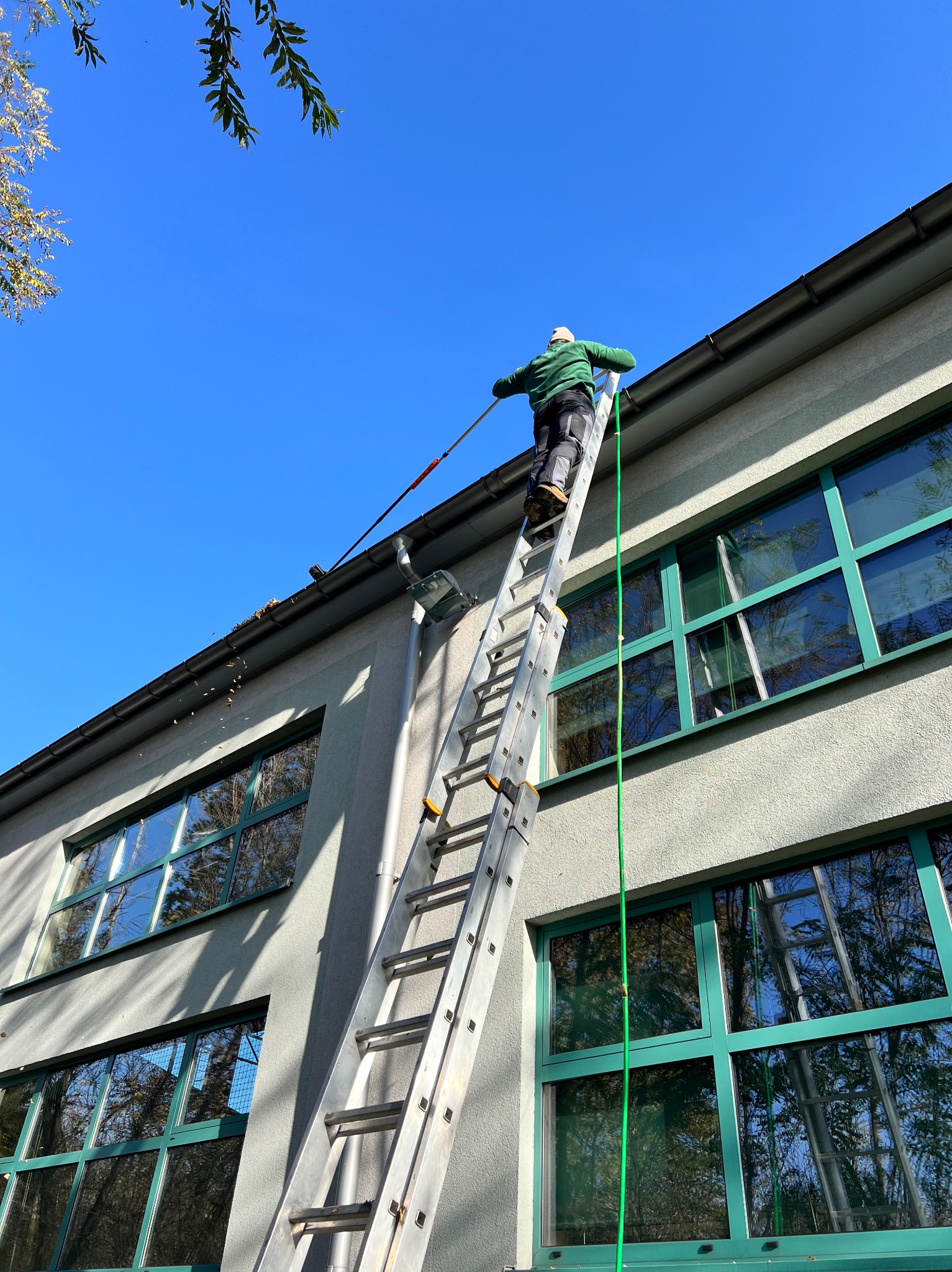 Pracownik na drabinie, z wysięgnikiem, usuwa liście z rynny budynku z zielonymi ramami okiennymi, na tle błękitnego nieba.