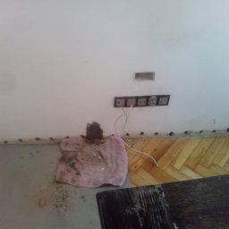 Osuszanie Goczałkowice-Zdrój 2