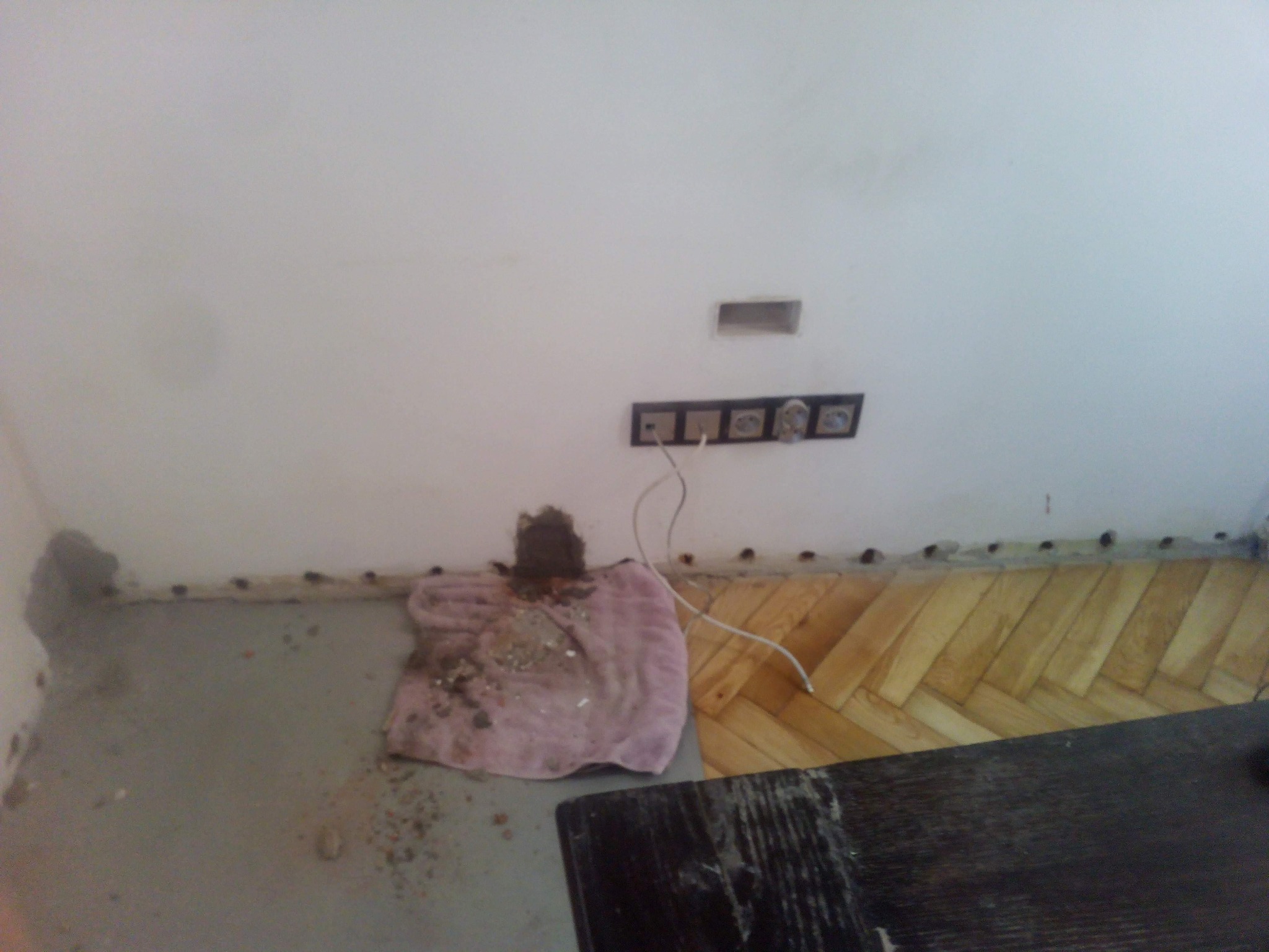 Przygotowanie do osuszania ściany: różowy ręcznik z zabrudzeniami pod uszkodzonym gniazdkiem elektrycznym, widoczne ślady wilgoci na ścianie i podłodze, fragment parkietu.