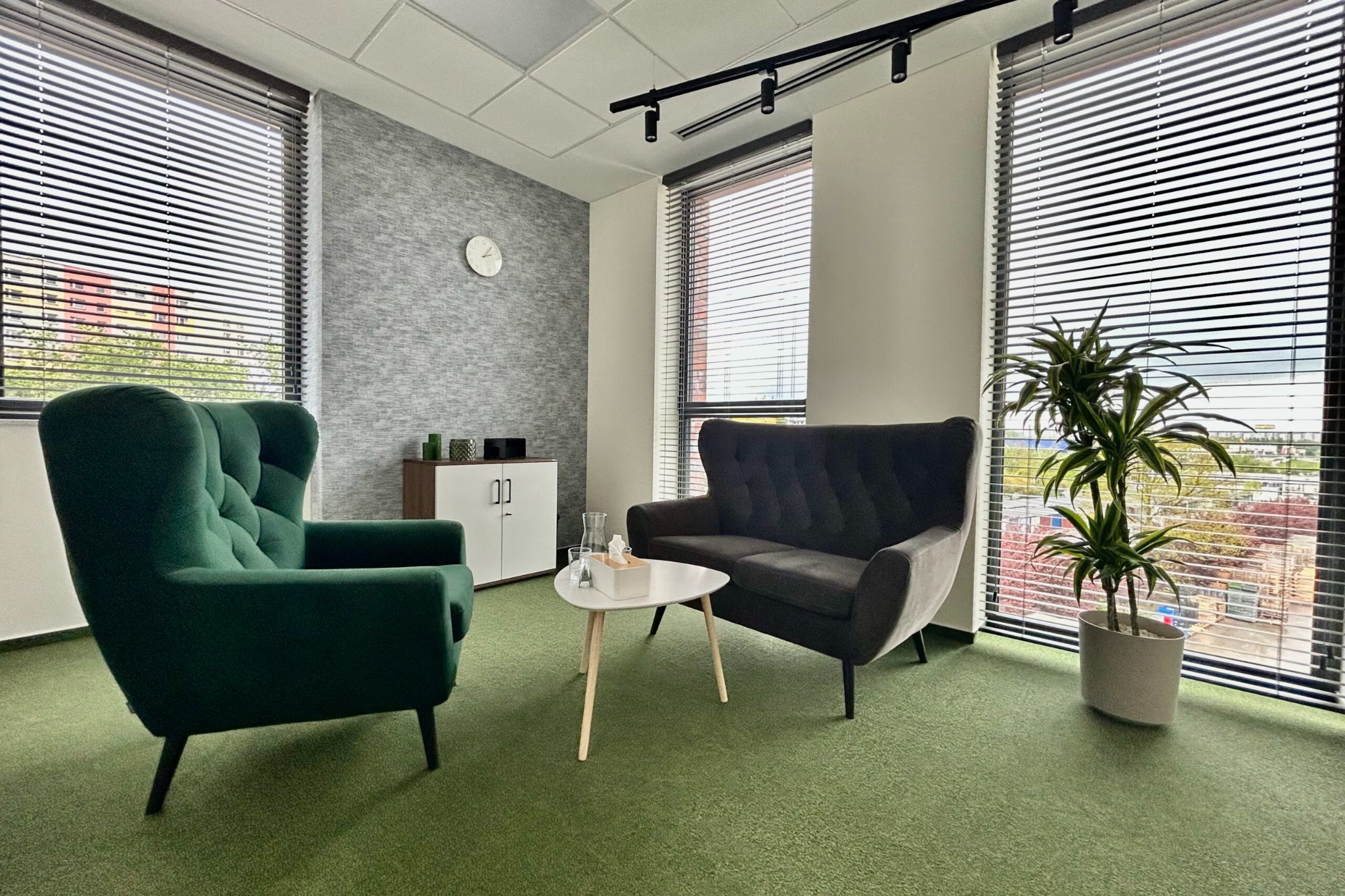 Jasne wnętrze gabinetu z zieloną wykładziną, ciemnozielonym fotelem typu uszak, szarą sofą, białym stolikiem kawowym i rośliną doniczkową przy oknie z żaluzjami.