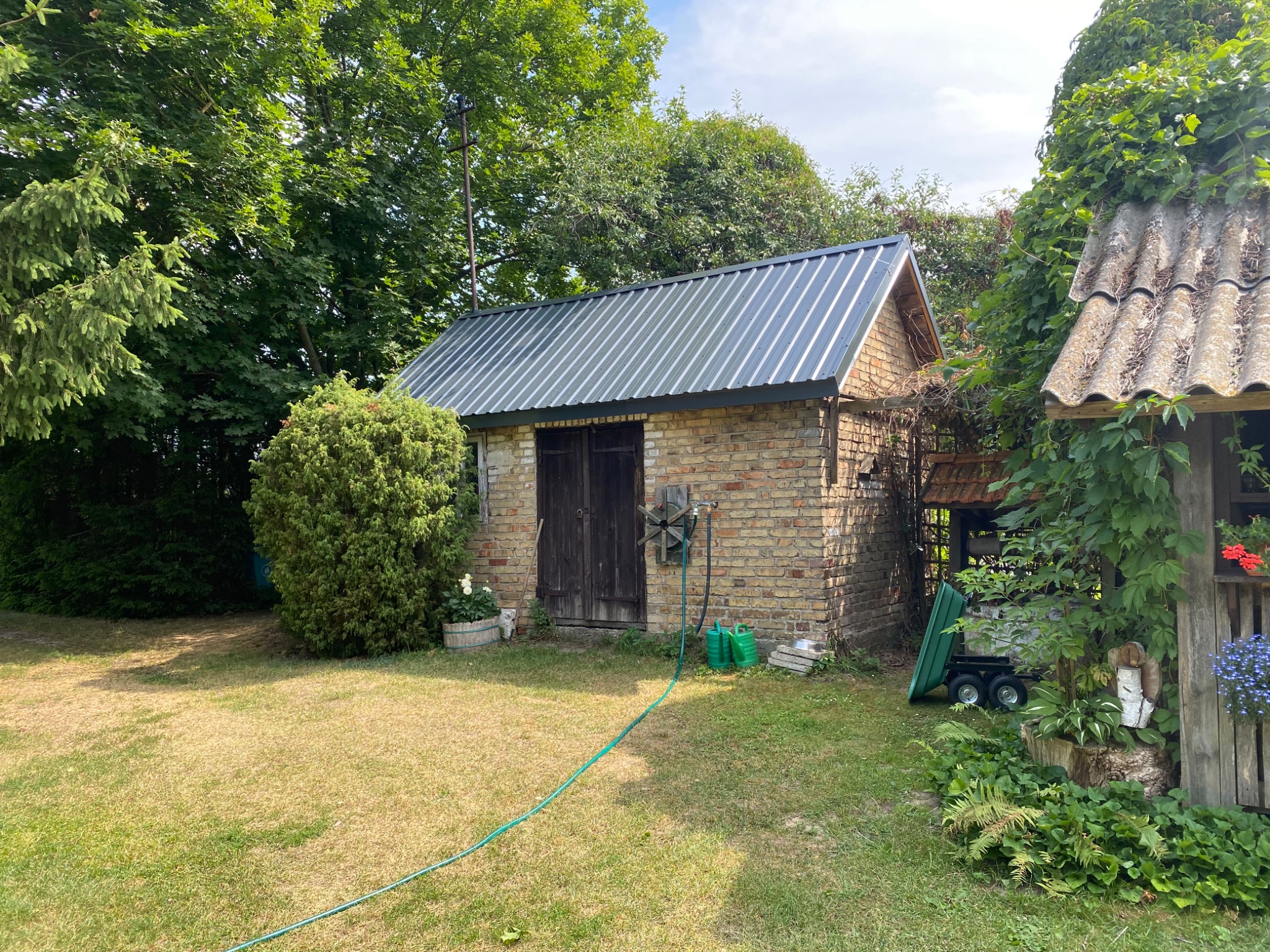 Murowana szopa gospodarcza z blachy falistej na dachu, otoczona zielenią i z wężem ogrodowym na trawniku.