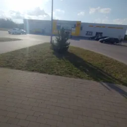 Niski świerk na trawniku przed budynkiem sklepu wielobranżowego w słoneczny dzień.