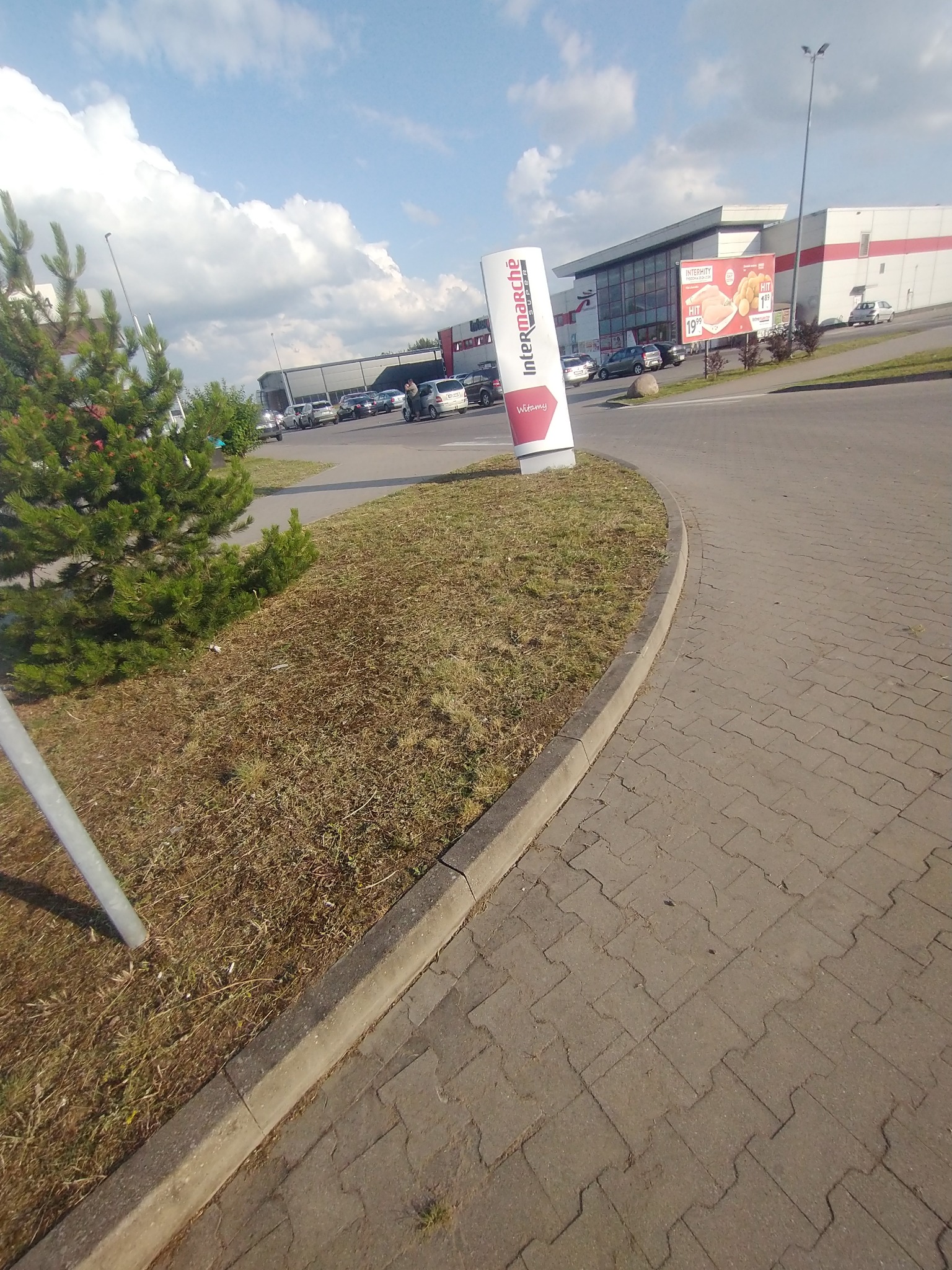 Zaniedbany trawnik przed budynkiem Intermarche, z widocznymi uschniętymi źdźbłami trawy i małą sosną.