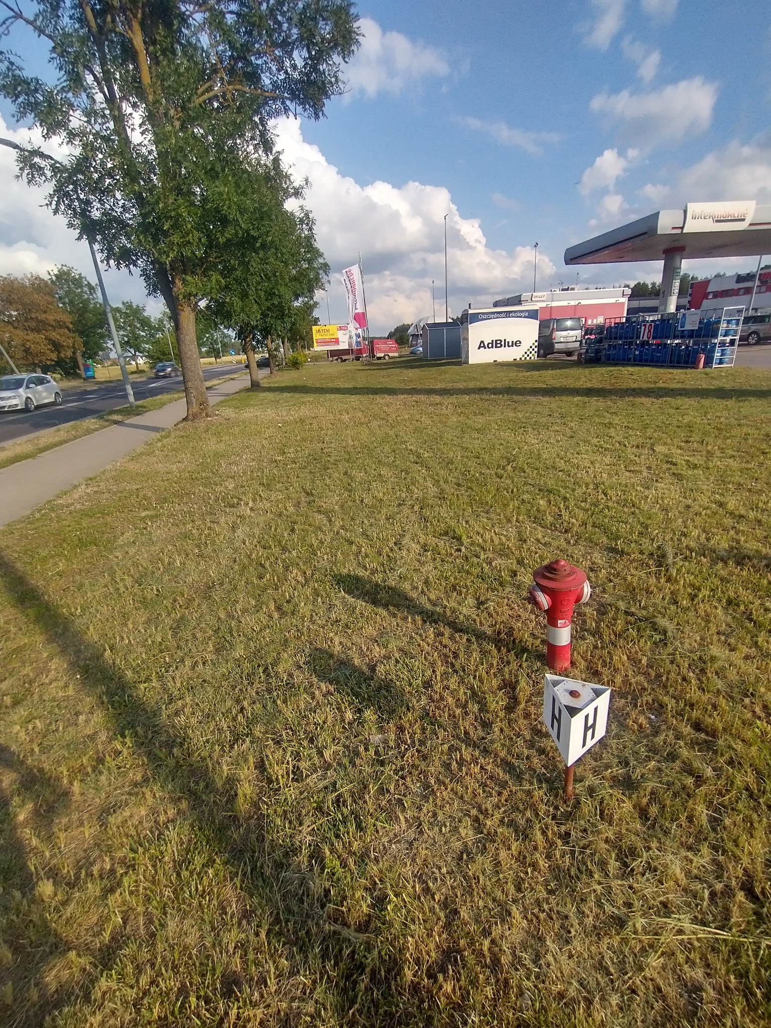 Nieprzycięty trawnik z hydrantem przeciwpożarowym na tle stacji benzynowej z reklamą AdBlue