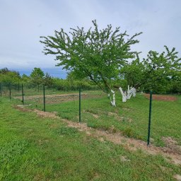 TOM-BRUK Tomasz Rogoziński usługi ogólnobudowlane - Nowe ogrodzenie z siatki leśnej na zielonym trawniku, z widocznymi drzewami i pomalowanym pniem drzewa w tle, pod pochmurnym niebem.