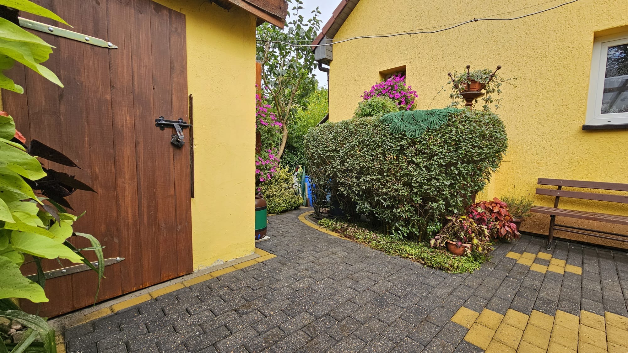 Urokliwy zakątek ogrodu z kostką brukową, drewnianą bramą i starannie przystrzyżonym żywopłotem ozdobionym koronkową serwetą, żółta elewacja budynku w tle.