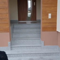 Wejście do domu z granitowymi schodami, elewacją w kolorze białym i brązowym oraz imitacją drewna na ścianie, z widocznym fragmentem psa w lewym dolnym rogu.