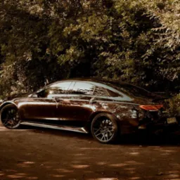 Ciemny, lśniący samoch&oacute;d po tuningu w Zabrzu, zaparkowany na leśnej drodze, z widocznymi zmodyfikowanymi felgami i elementami karoserii.