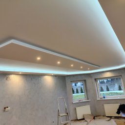 DANIEL - Elewacje i ocieplenia Olesno