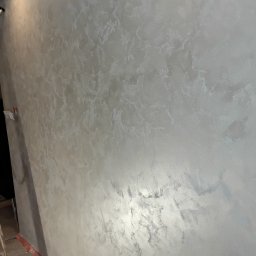 DANIEL - Elewacje Olesno