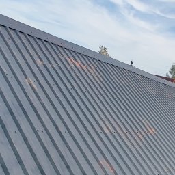 SaVo - Szara blacha trapezowa na dachu budynku, widoczne śruby mocujące, fragment nieba z chmurami w tle.