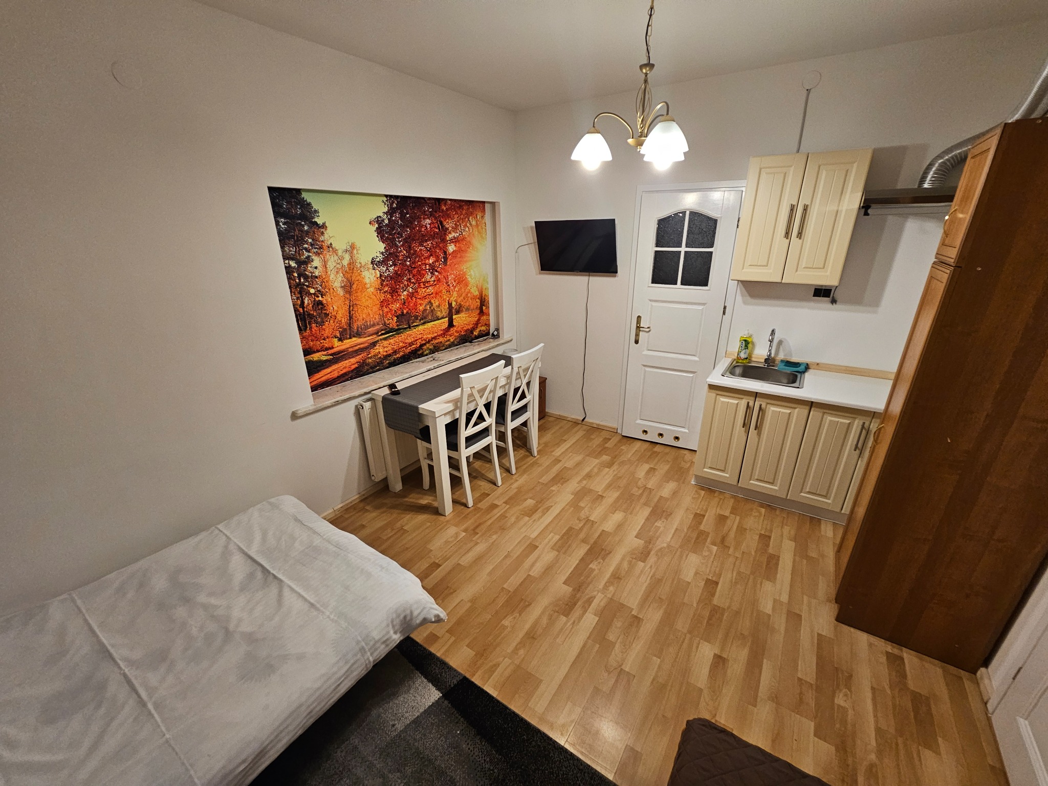 Wnętrze pokoju z łóżkiem, aneksem kuchennym, stołem z krzesłami i telewizorem na ścianie.