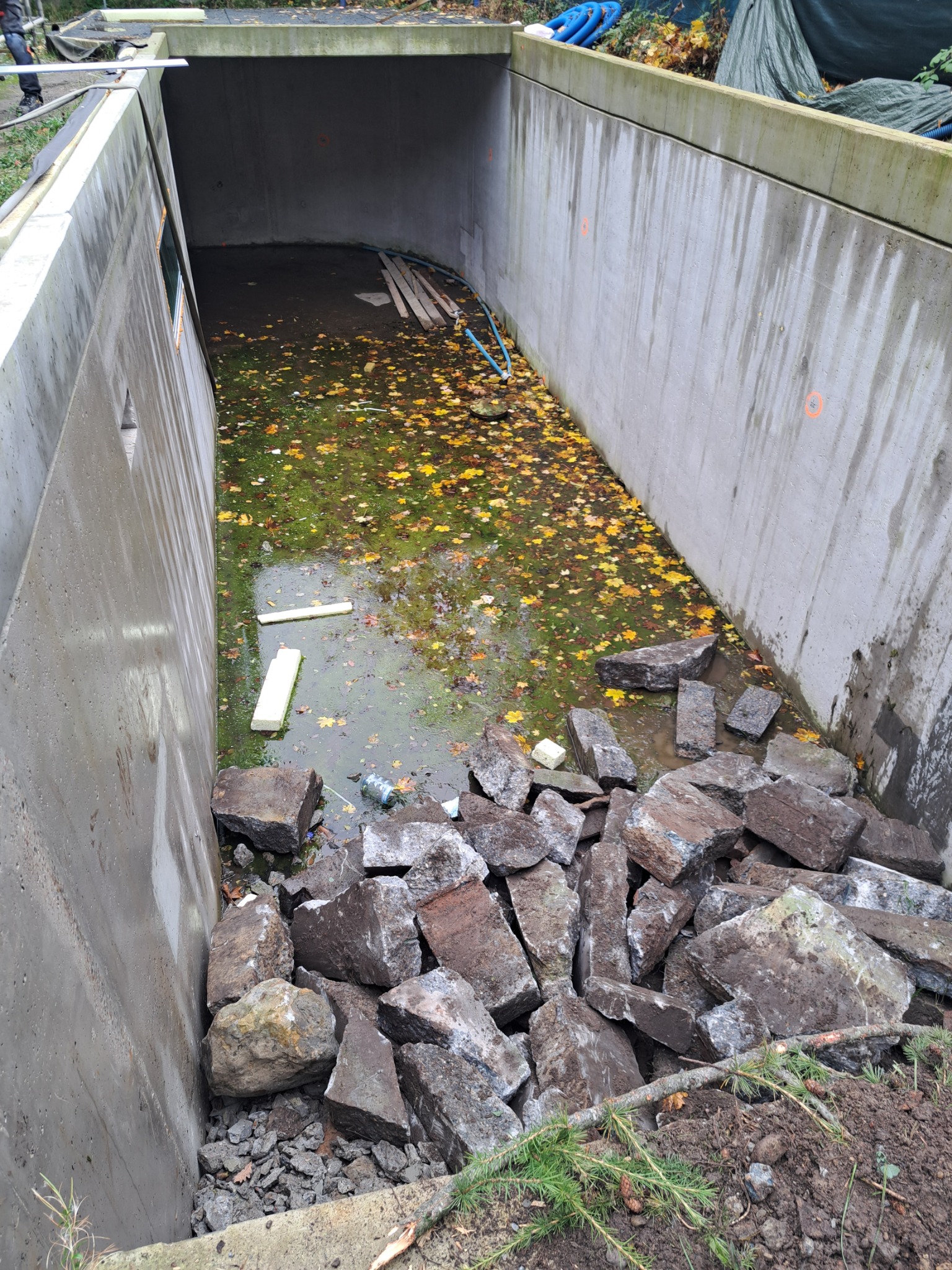 Wykop pod fundamenty zalany wodą z liśćmi, widoczne betonowe ściany i sterta kamieni. Prace przygotowawcze do izolacji lub drenażu.