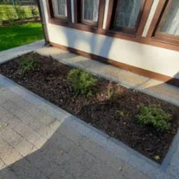 Kwadratowa rabata z korą i niskimi krzewami ozdobnymi, przylegająca do ściany budynku z oknami o brązowych ramach, otoczona kostką brukową.