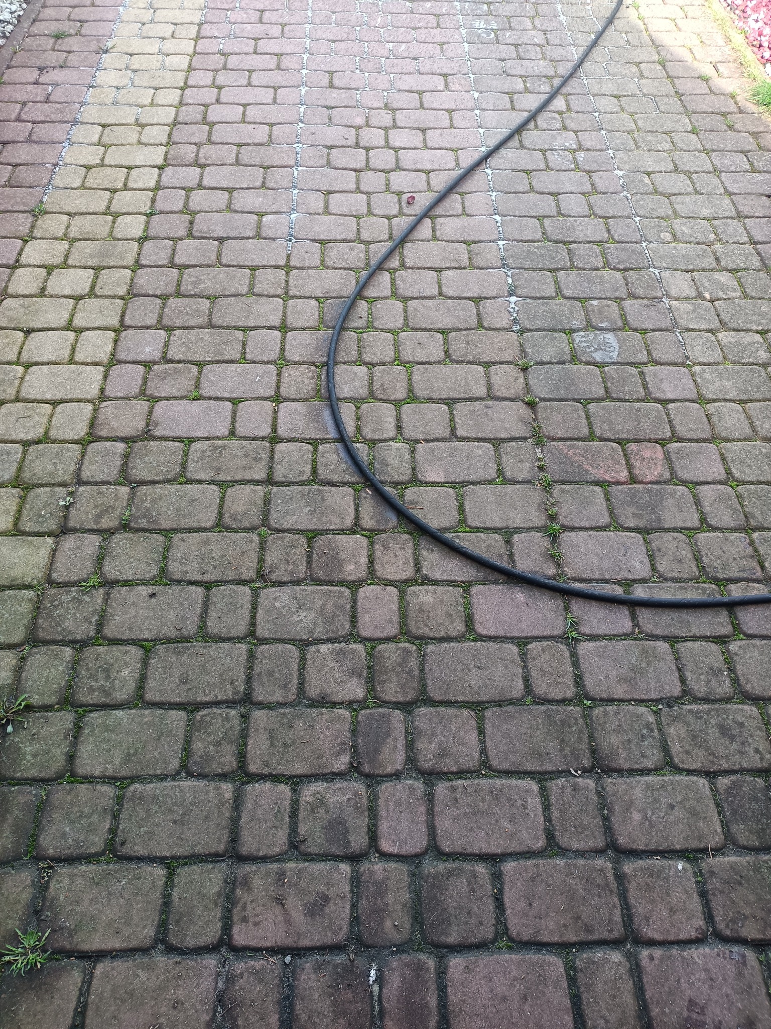 Częściowo oczyszczona kostka brukowa z widocznym wężem ogrodowym, ukazująca różnicę w kolorze między czystą a zabrudzoną powierzchnią.