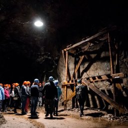 Przewóz osób Kalisz 2