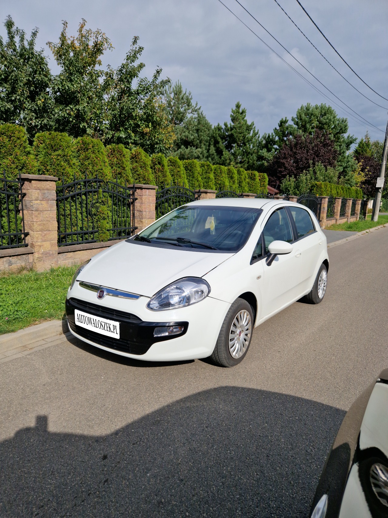 Biały Fiat Punto stojący na ulicy przed ogrodzeniem z kamiennymi słupkami i metalowymi przęsłami, w tle zielone drzewa.