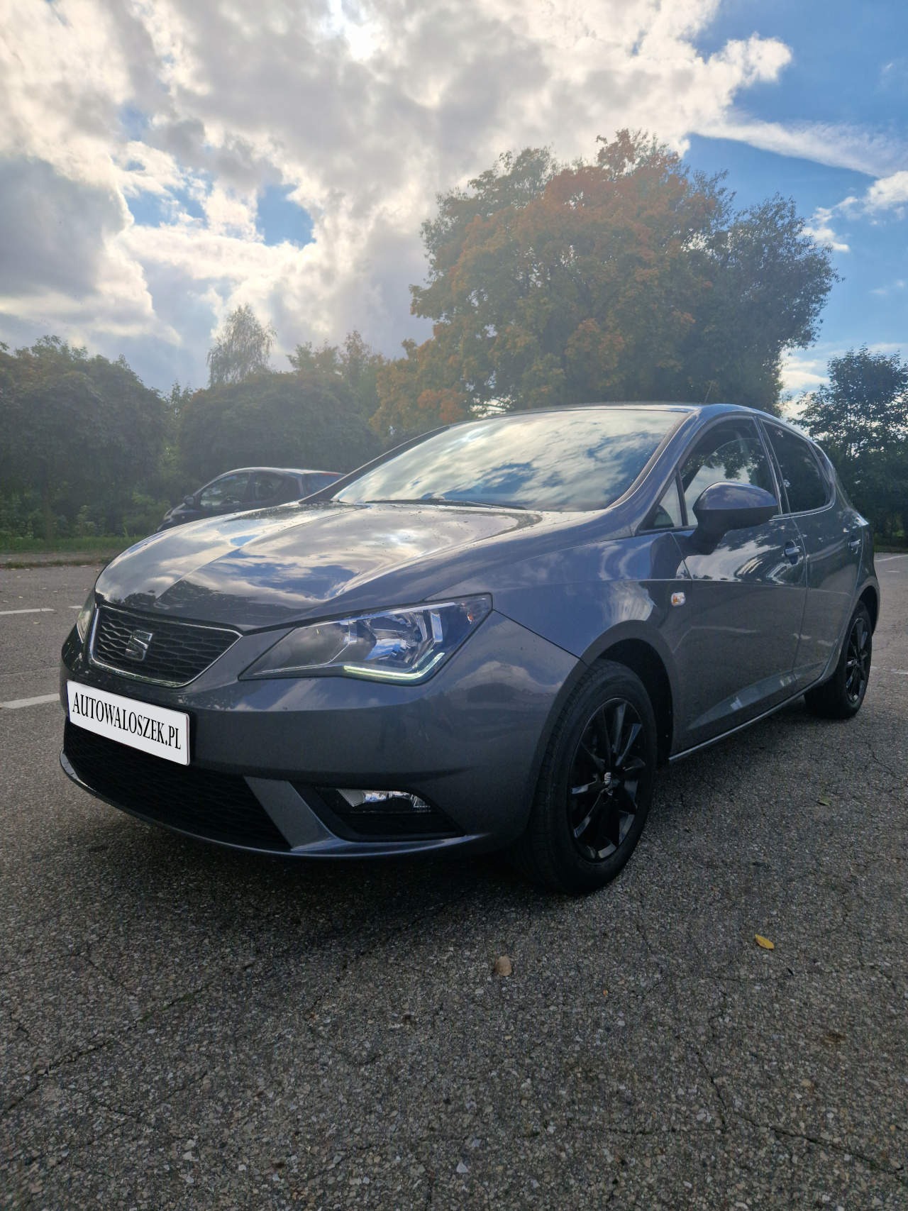 Szary samochód osobowy marki Seat Ibiza z czarnymi felgami, zaparkowany na parkingu, z widocznym logo firmy na tablicy rejestracyjnej, na tle błękitnego nieba z chmurami i drzew.