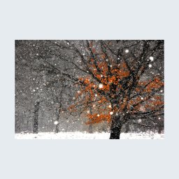 fotoobraz autorski, ŚNIEŻNY 01, format 3 do 2