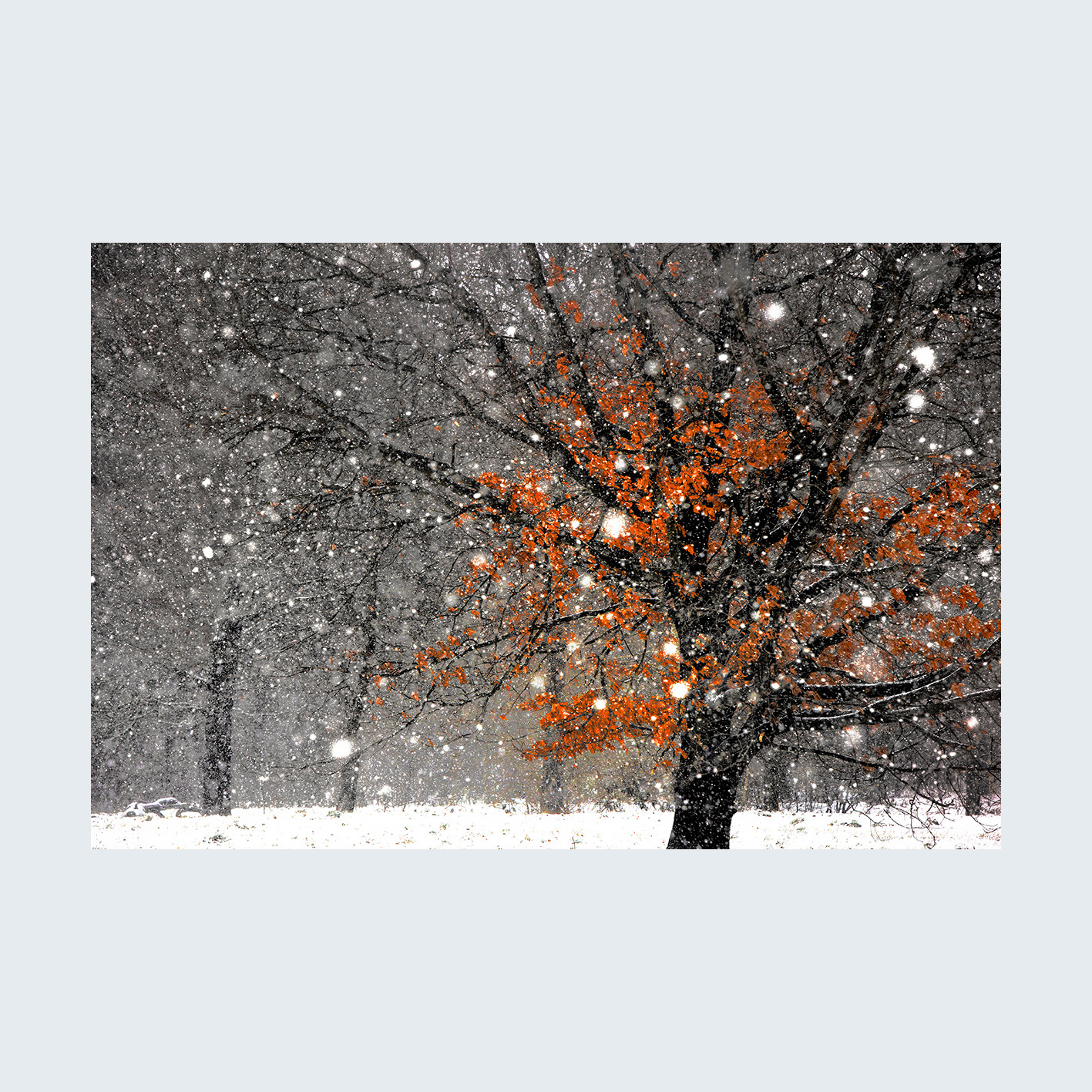 fotoobraz autorski, ŚNIEŻNY 01, format 3 do 2