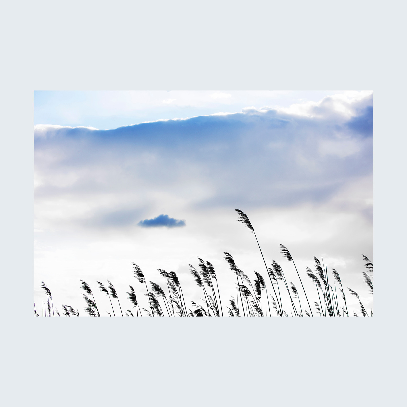 fotoobraz autorski, PEJZAŻ 4, format 3 do 2