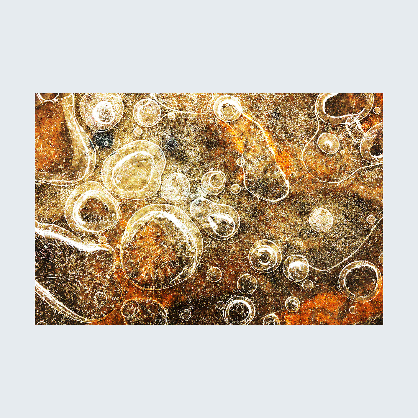 fotoobraz autorski, tekstury – MROZEM MALOWANE 6 , format 3 do 2