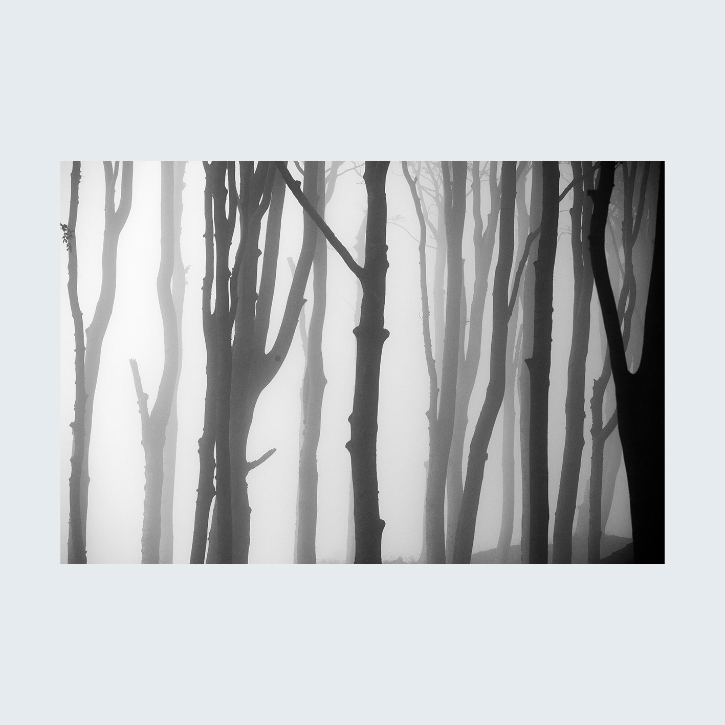 fotoobraz autorski, GRAFIKA 02, format 3 do 2